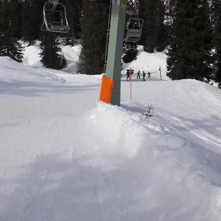 Appartement & Capricorno Mittelberg